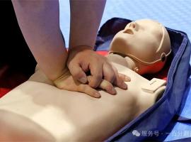 正規(guī)翻譯機(jī)構(gòu)